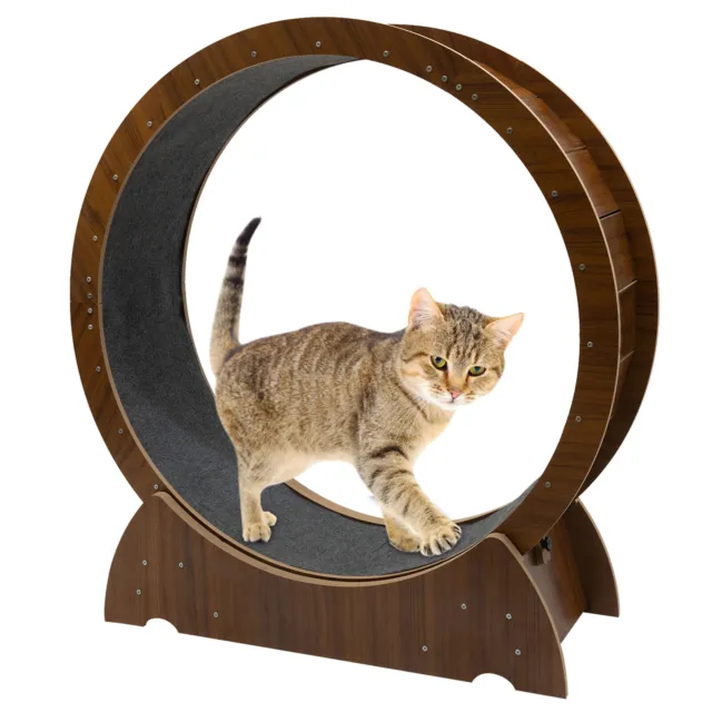Cat Exercise Wheel Running Spinning Scratching Fun Cat Treadmill Mute Wheels