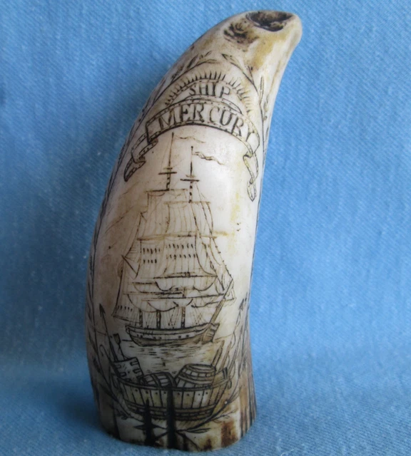 Faux Scrimshaw SHIP MERCURY Resin TOOTH Replica   Capt. Daniel Jordan Green Port