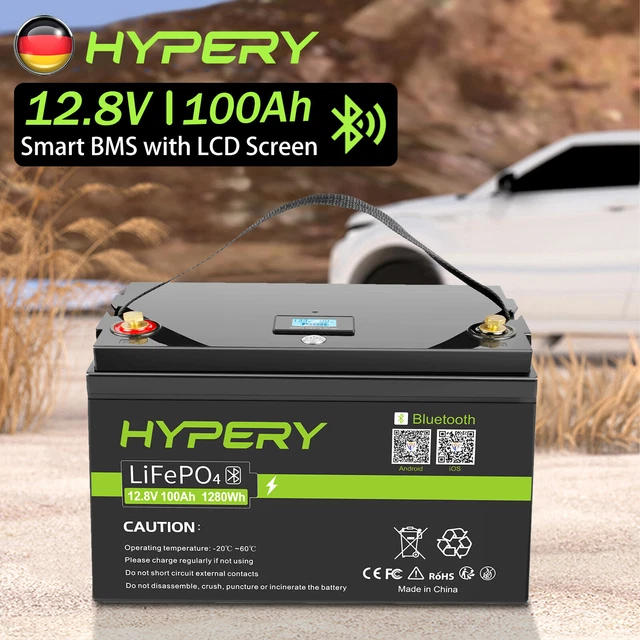 No IVA 100Ah 12,8 V Batteria solare al litio LiFePO4 Bluetooth camper camper off-grid