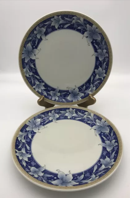 Rare! Giovanni Valentino -V- Italy set of 2 pasta Plates /Bowl 9 3/4". Mint!