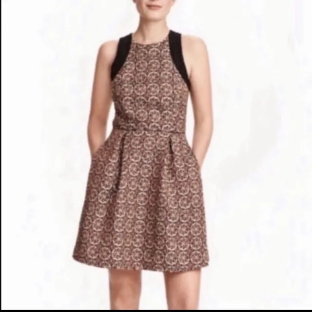 H&M Brocade Jaquard Fit N Flare Sheer Back Dress Size 4