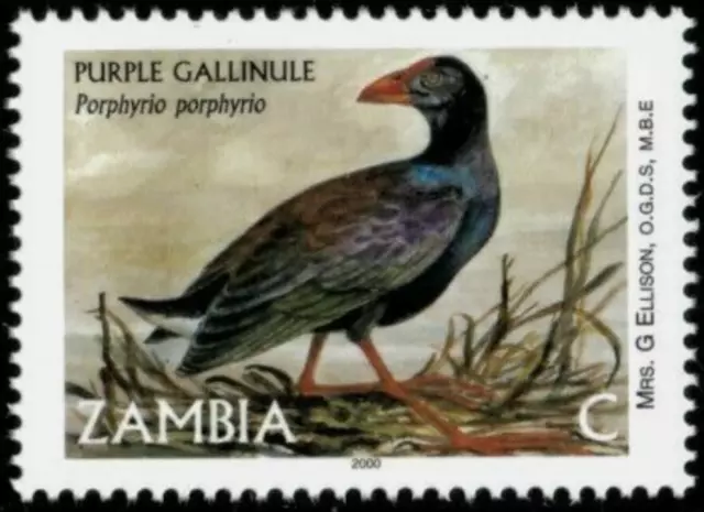 Zambia #Mi1259 MNH 2001 Purple Gallinule [930]