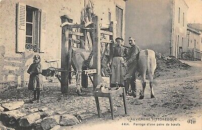 CPA 63 the Auvergne picturesque farrier a pair of oxen