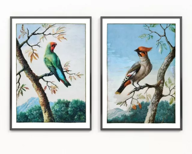 Vintage Bird Prints Wall Art Set of 2 Beautiful Antique Painting Red Unframed