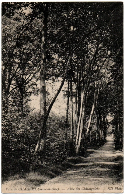 CPA 95 - Parc de CHAUVRY (Val d'Oise) - Allée des Châtaigniers