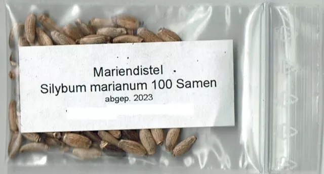 100 Samen Mariendistel Silybum marianum Heilpfanze Wildblume Bienenweide