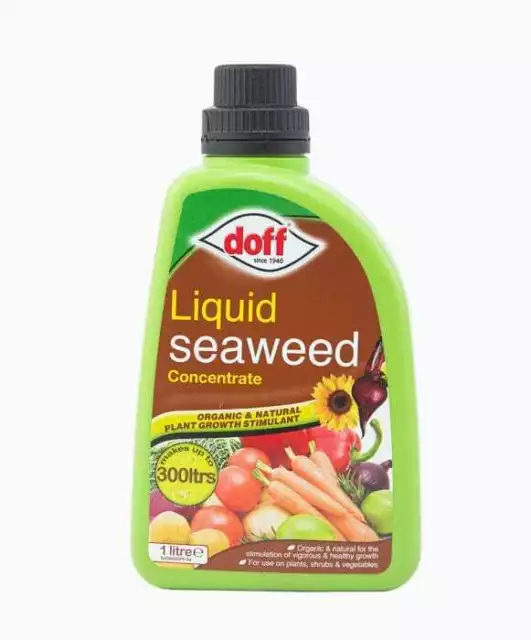 Doff Liquid Seaweed Concentrate Organic Plant Food Shrubs Vegetables Feed 1L