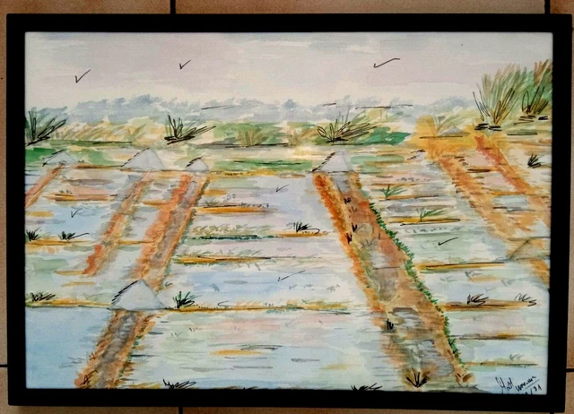 Aquarelle Ile De Re Les Marais  Art Tableau Peinture  Paris Jumeaux Jean Pierre