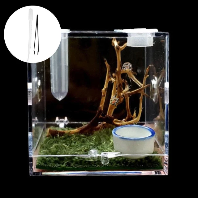 JUMPING SPIDER HABITAT Acrylic Breeding Box Cage For Spiders Insect >ε ...