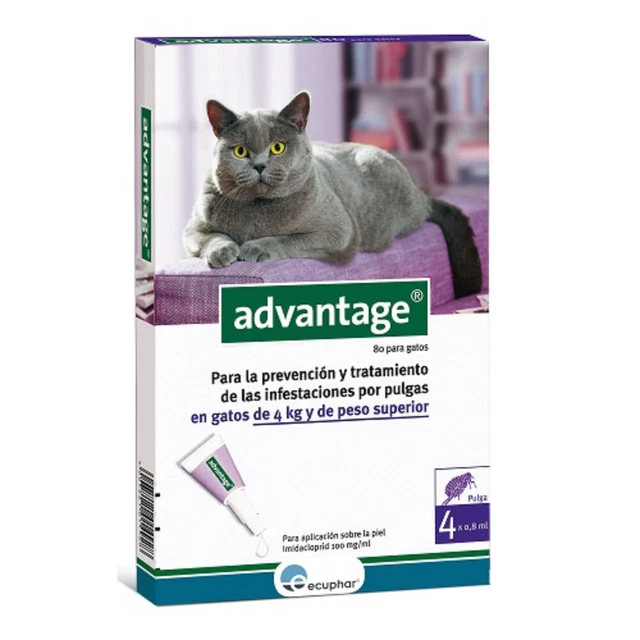 ECUPHAR ADVANTAGE 80, Pipetas Antiparasitarias Gatos + 4 kg, Caja 4 uds