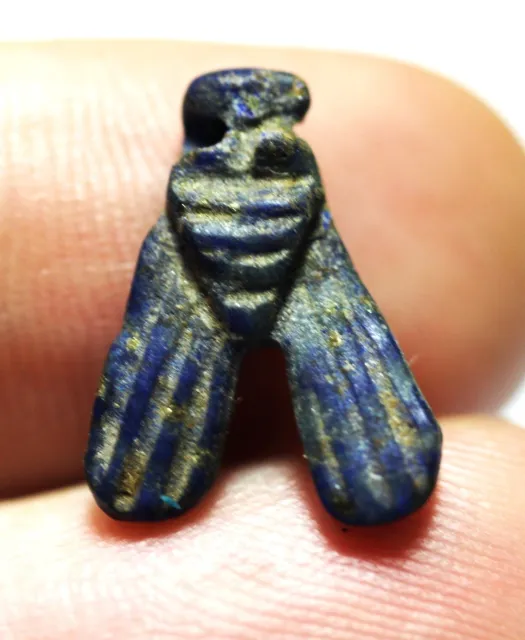 Zurqieh -Ad12145- Ancient Egypt. Large Lapis Lazuli Fly Amulet. 1250 B.c