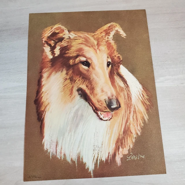 Vintage Dog Print Litho Collie  Dog Made in USA  GP 5303