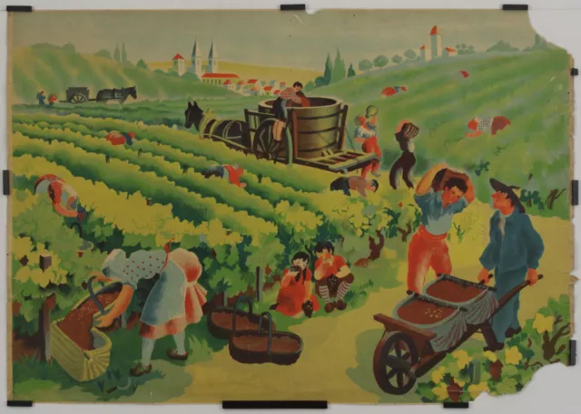 Poirie Hélène Les Vendanges circa 1950 Original Poster Education Agriculture