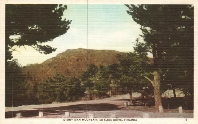 Skyline Drive VA-Virginia, Stony Man Mountain, Vintage Postcard