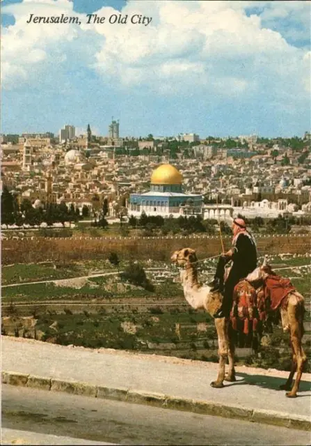 71445034 Jerusalem Yerushalayim The Old City Moschee Altstadt Kamel