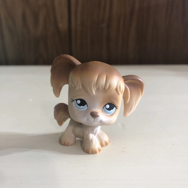 LPS #1716 PETSHOP AUTHENTIC CHIEN EPAGNEUL DOG SPANIEL HASBRO