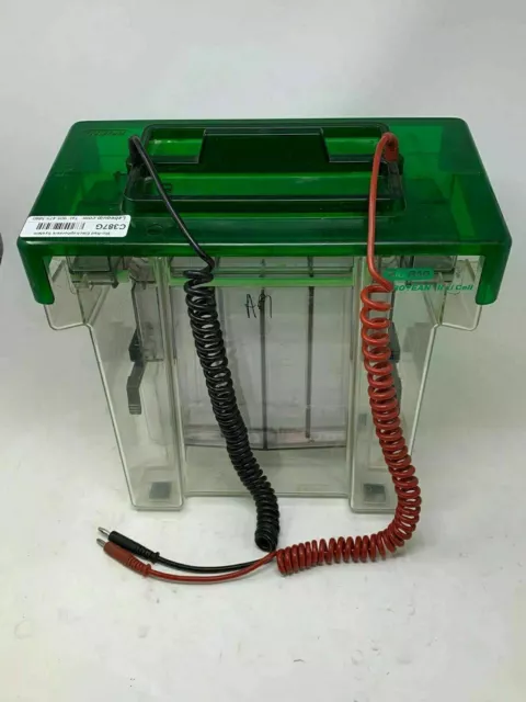 Bio-Rad Protean II xi Cell Vertical Gel Electrophoresis Unit