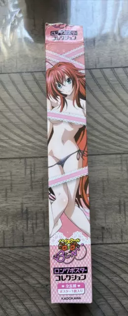 High School DXD Anime Premium POSTER MADE IN USA - HSD002
