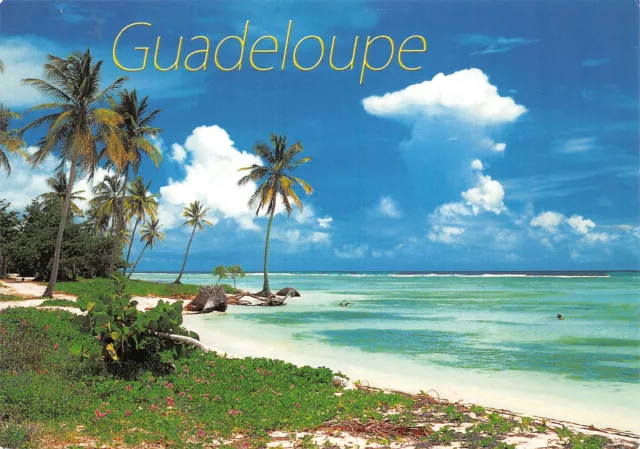 972-Guadeloupe Sainte Anne-N�2817-C/0107