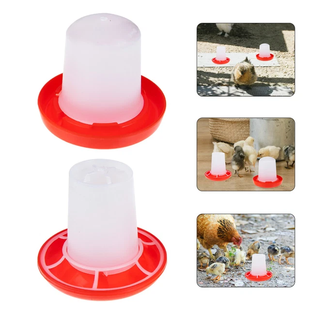 1 de mangeur de poussin Kit Waterer Kit de canard Effeecher de canards 2