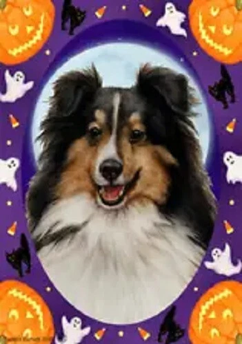 Halloween Garden Flag - Tri Shetland Sheepdog Sheltie II