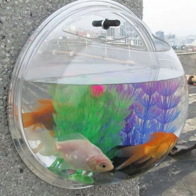 Creative Acrylic Hanging Wall Mount Fish Tank Bowl Vase Aquarium Pot Bowl
