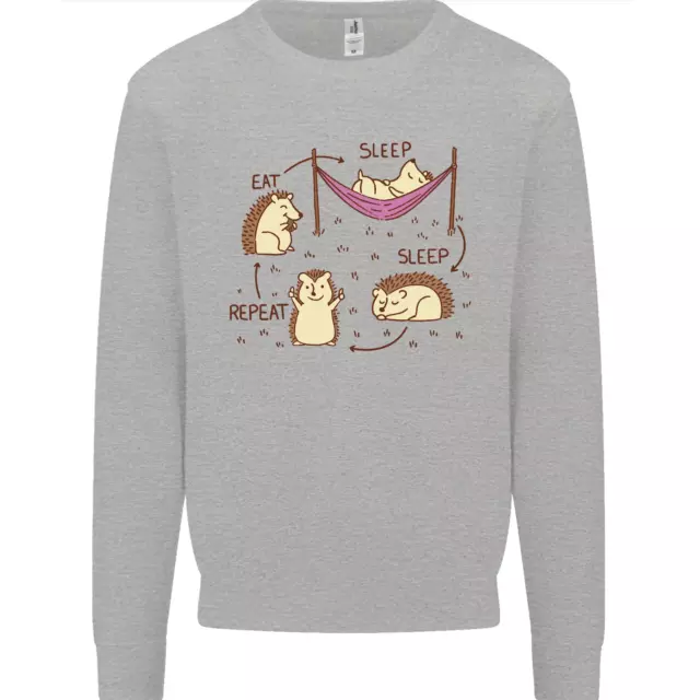 Funny Hedgehog Eat Sleep Repeat Lover Mens Sweatshirt Jumper