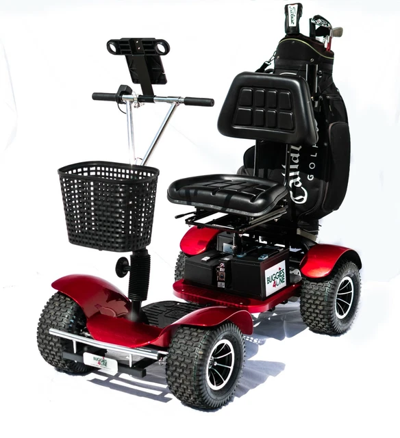 High Quality Electric Single Seat Golf Buggy,36 hole Lithium Battery &Wide Tyres