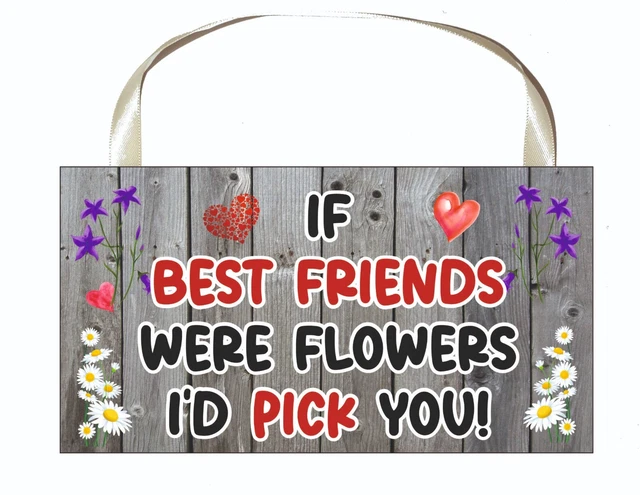Best Friend Plakette - Wenn beste Freunde Blumen wären, würde ich dich auswählen - lustiges süßes Geschenk 2