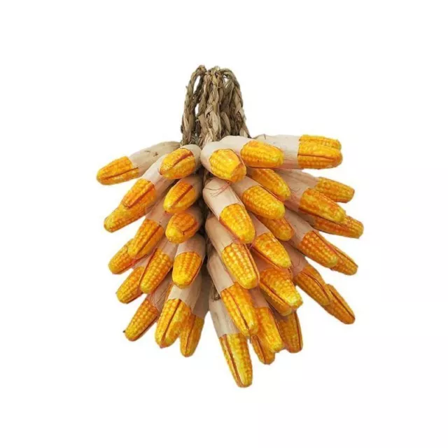 Food Sample Hanging Vegetables Corn Set Of