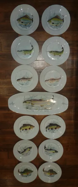 service à poisson en porcelaine 1 plat et 12 assiettes lot n°1 carpe truite etc