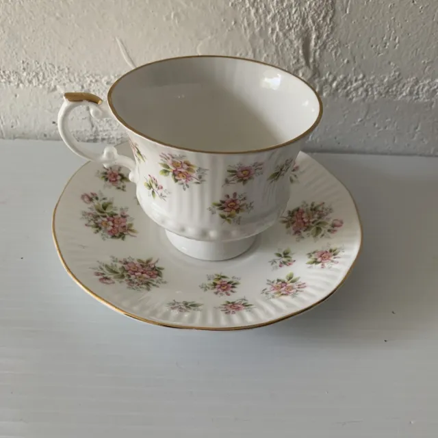 Vintage Elizabethan Staffordshire Hand Decorated Duo Teacup And Saucer