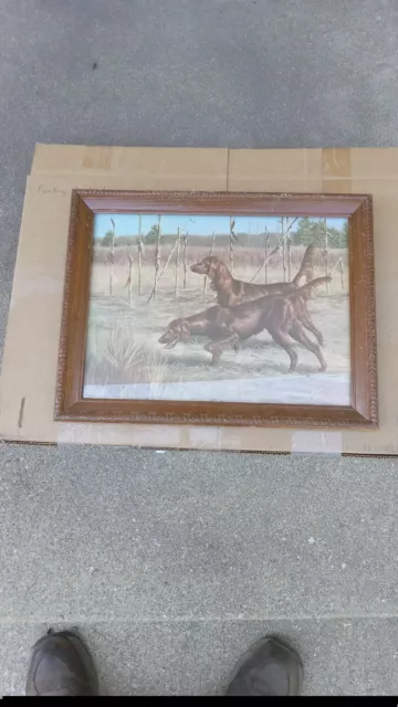 Vintage Irish Setter Hunting Dogs Print Signed By Christie In Wooden Frame