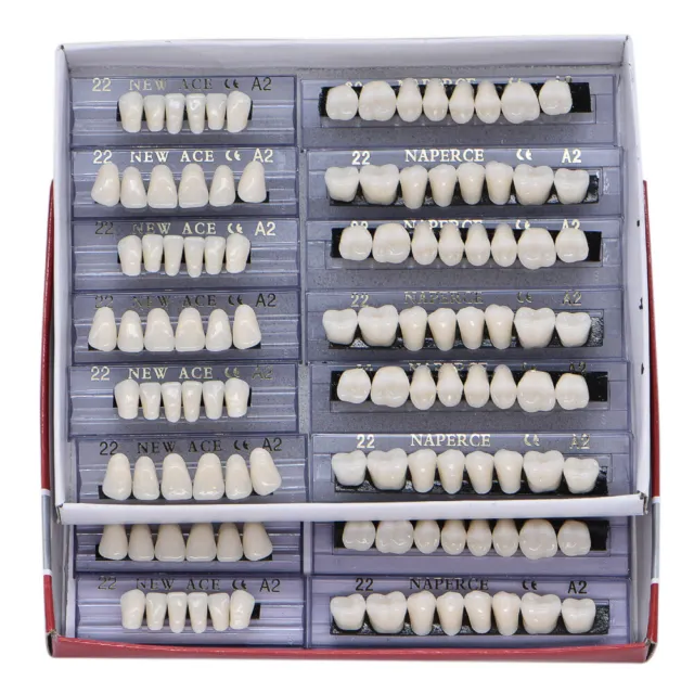 168pcs/Box Dental Acrylic Resin Denture Shade A2 A3 Teeth Upper Lower #22/23/24