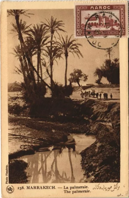 CPA AK MAROC MARRAKECH La palmeraie Flandrin (37906)
