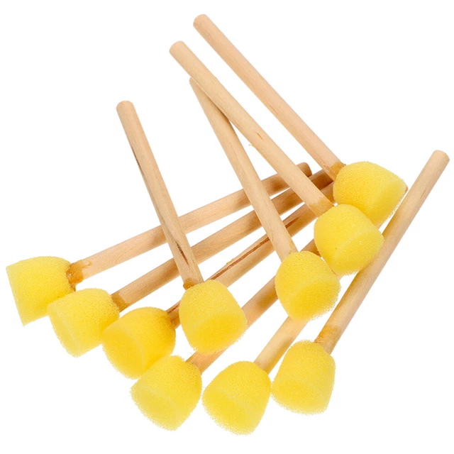 10 Pcs Meeresschwamm Zum Bemalen Farbschwämme Schwammpinsel