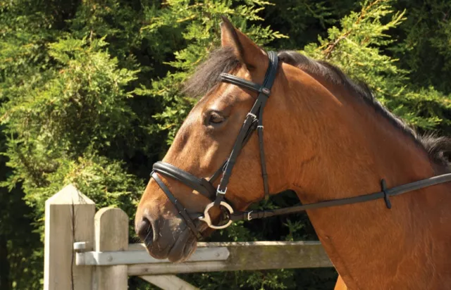 Windsor Leather Comfort Horse Pony Snaffle Bridle + Flash Noseband Rubber Reins