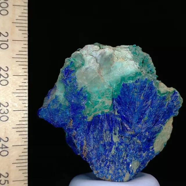 Azurite with Malachite raw natural mineral specimen 363ct Australian Stock