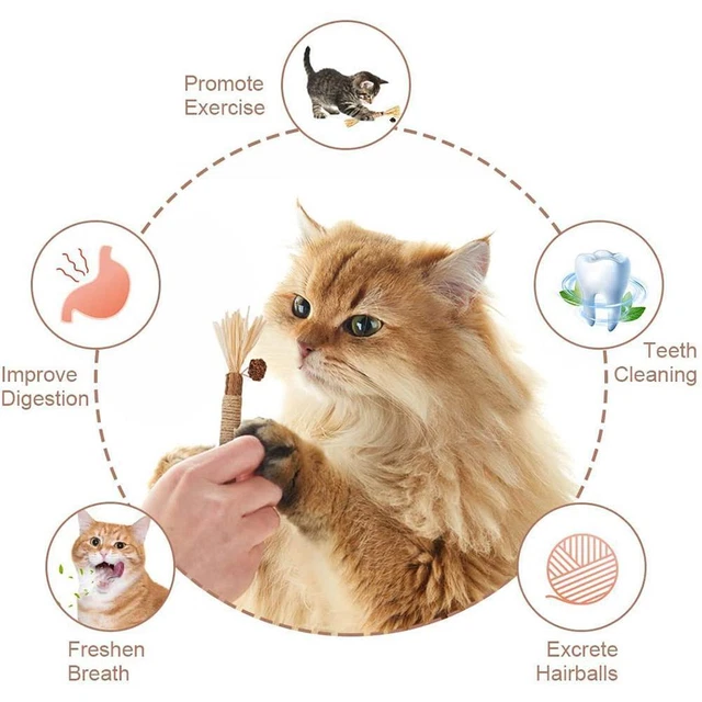 Catnip Toys Cat Wand Silvervine Sticks Cat Toys For Indoor Cats Chew Toy I0P1