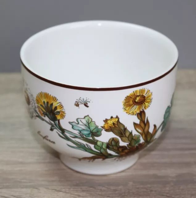 Villeroy & Boch V&B Botanica Dessertschale Dipschale Dipschälchen Ø ca. 8,8 cm