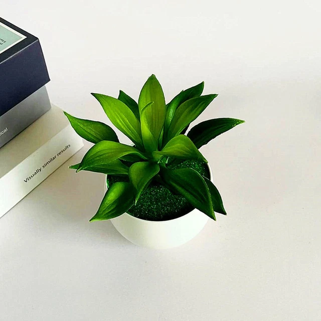 Suculentas artificiales decoración floral tiendas casa bodas plástico