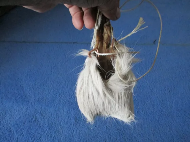 trophy whitetail deer scrotum real  Ball bag oddity nutsack gag gift  bag art F3