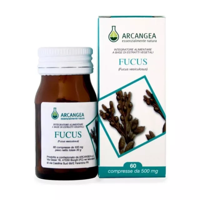 ARCANGEA Fucus - Fat Burners Supplement 60 Tablets