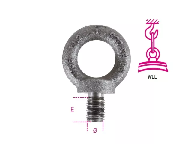 Robur 8040EN M48F Sollevamento Occhio Bullone din 580 Self-Coloured 080400349