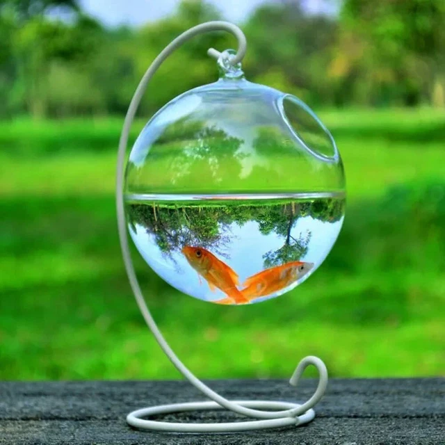 White Round Shape Aquarium Glass Hanging Fish Bowl Flower Vase Rack Holder Home