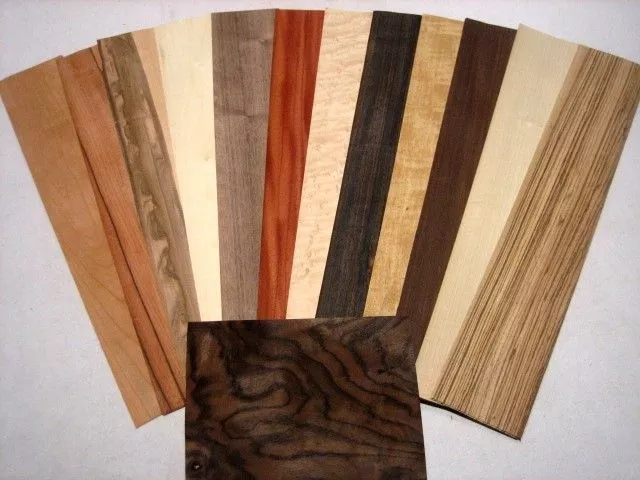 IMPIALLACCIATURA 10 TIPI d legno Trancciati piallacci fogli di