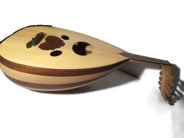 A musical instrument