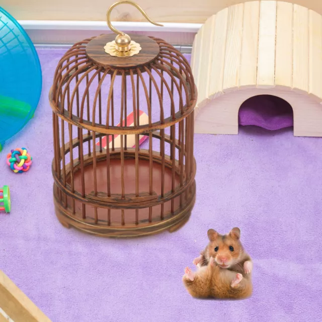 Décoration Extérieure Cage Pour Animaux De Compagnie Élégante