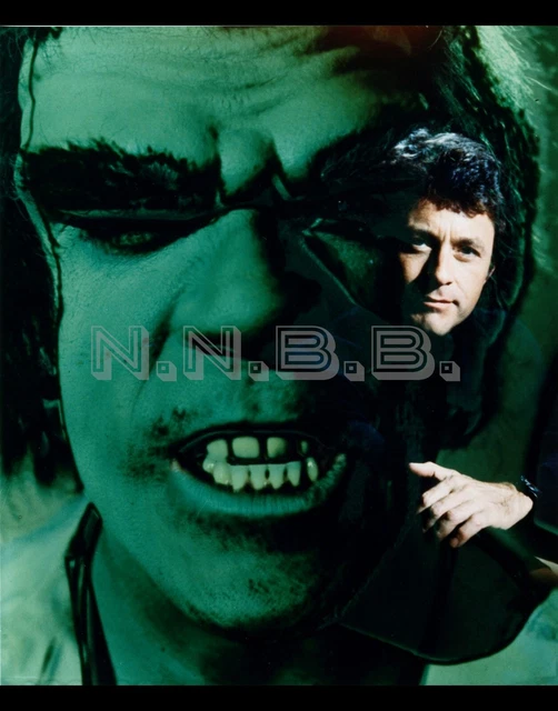 BILL BIXBY AND Lou Ferrigno The Incredible Hulk 10 X 8 Publicity Photo ...