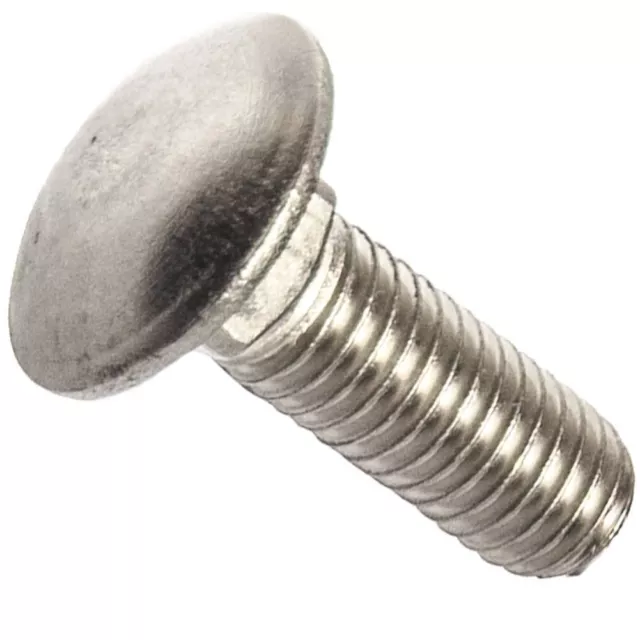 3/8-16 Carriage Bolts Stainless Steel All Lengths and Quantities in Listing
